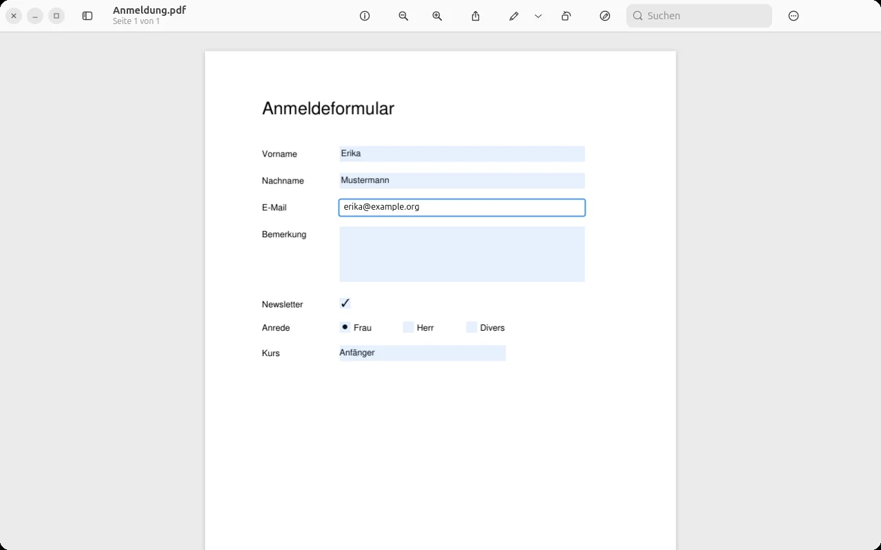 Ein PDF-Formular wird ausgefüllt